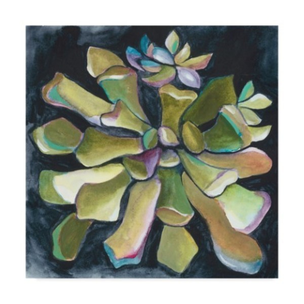 Trademark Fine Art Chariklia Zarris 'Succulent Rosette I' Canvas Art, 14x14 WAG09264-C1414GG